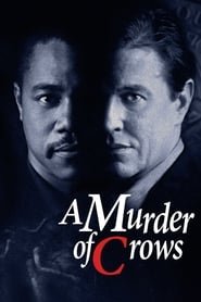 Murder Of Crows