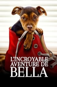 L’incroyable Aventure De Bella