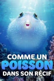 Comme Un Poisson Dans Son Recif