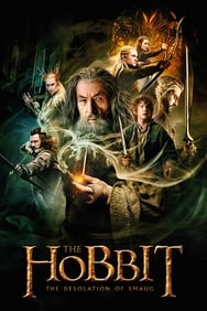 Le Hobbit : La Desolation De Smaug